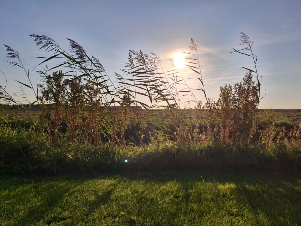 Natasja Batenburg | Jurist Arbeidsrecht WhatsApp Image 2023 09 15 At 08.40.03 1024x768